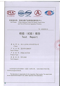 Test Report