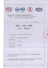 Test Report