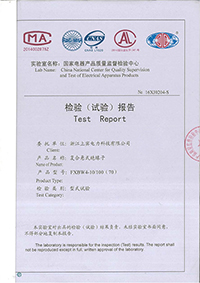 Test Report