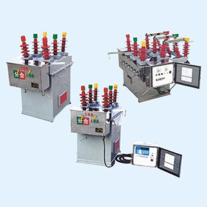 ZW8-12/C intelligent type Outdoor High Voltage Vacuum Circuit Breaker